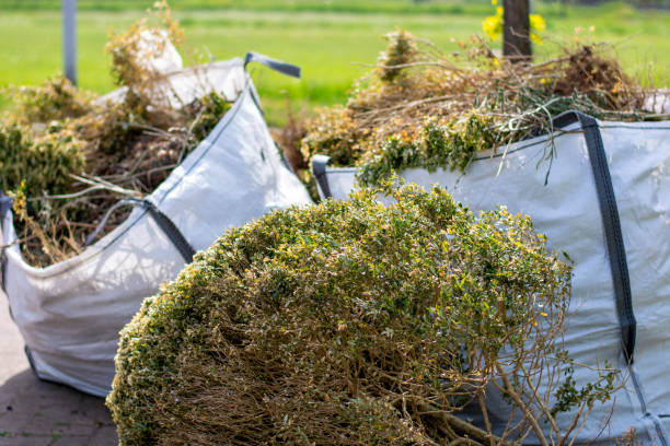 Professional Junk Removal Services in Waimalu, HI